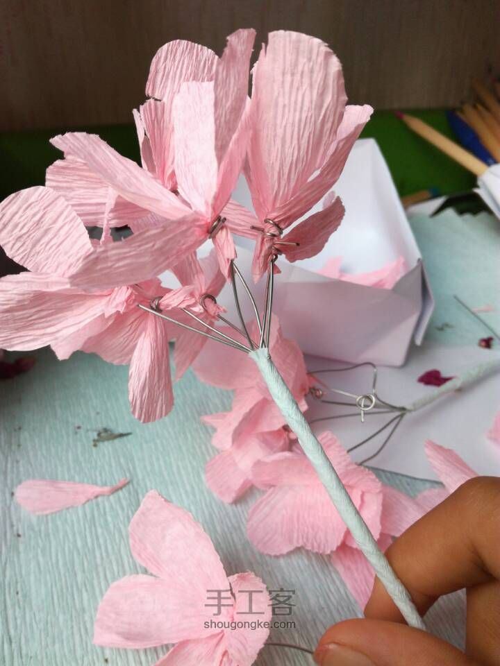永生花 第5步