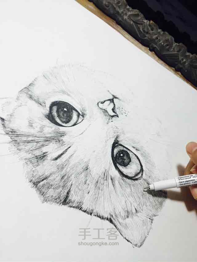 我们来画只可爱的猫咪… 第7步