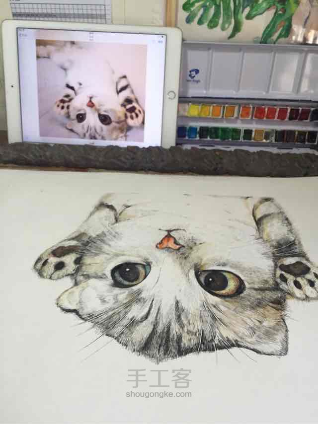 我们来画只可爱的猫咪… 第11步