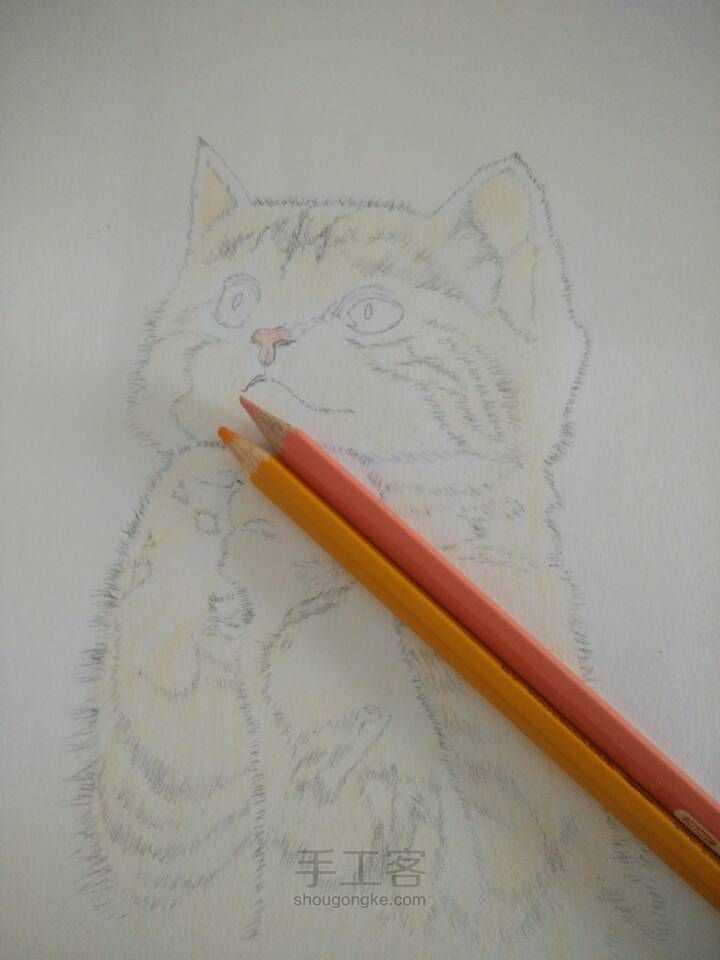 猫咪彩铅手绘 第2步