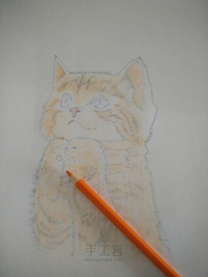 猫咪彩铅手绘 第3步