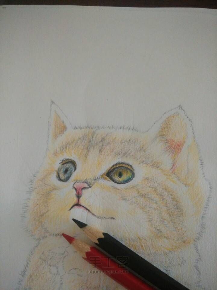 猫咪彩铅手绘 第7步