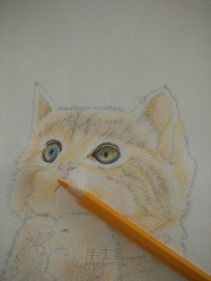 猫咪彩铅手绘 第6步