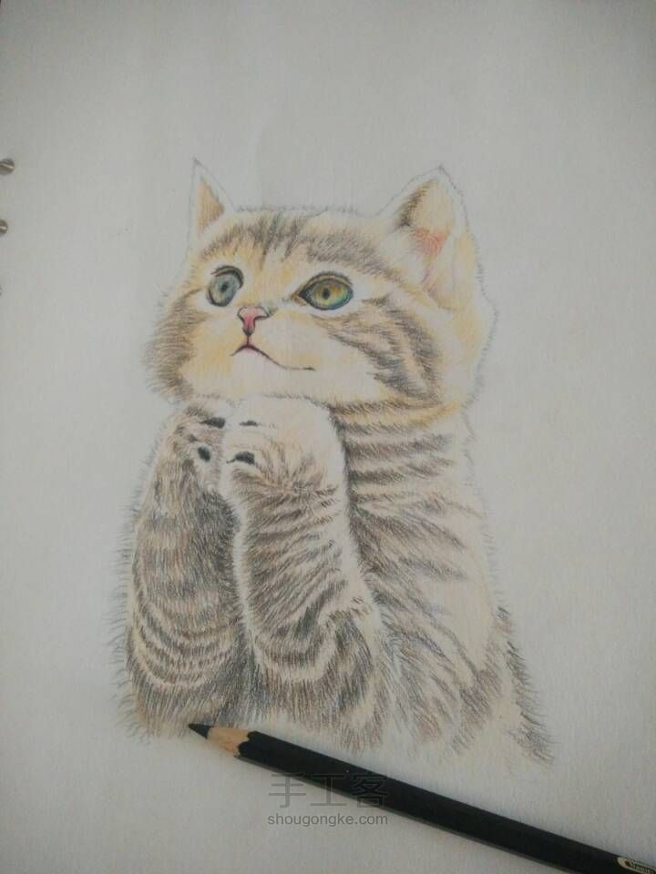 猫咪彩铅手绘 第10步