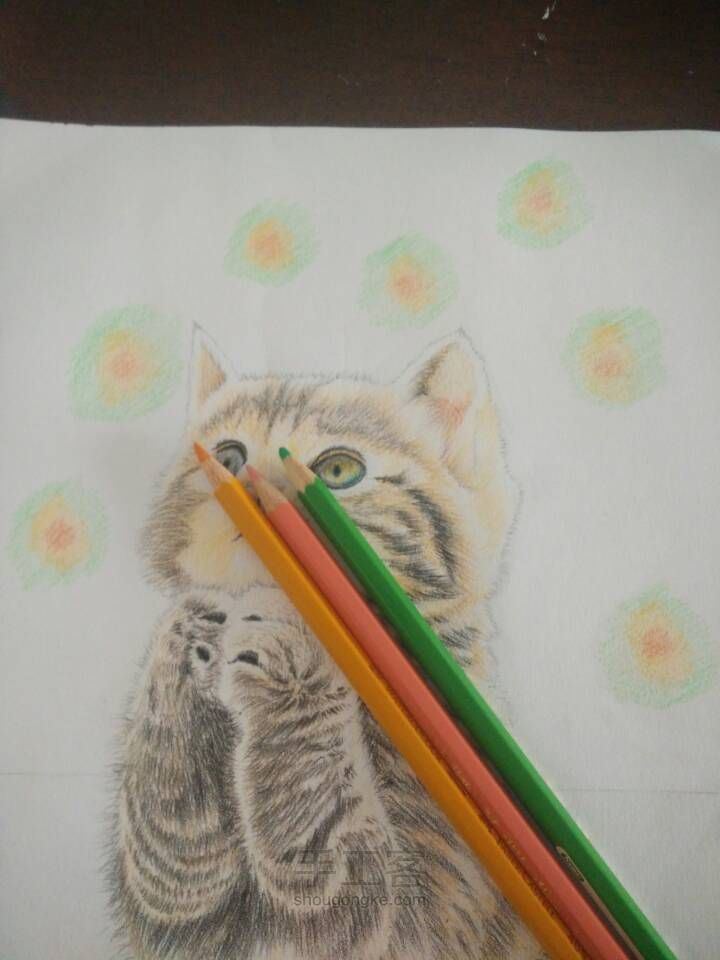 猫咪彩铅手绘 第14步