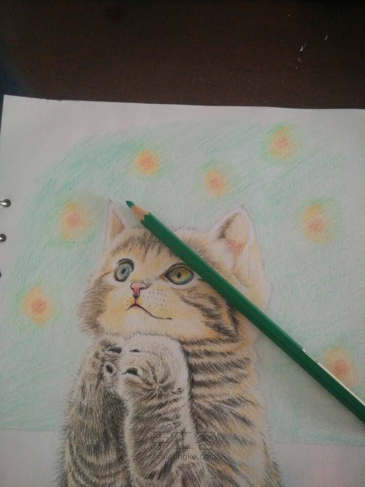 猫咪彩铅手绘 第15步