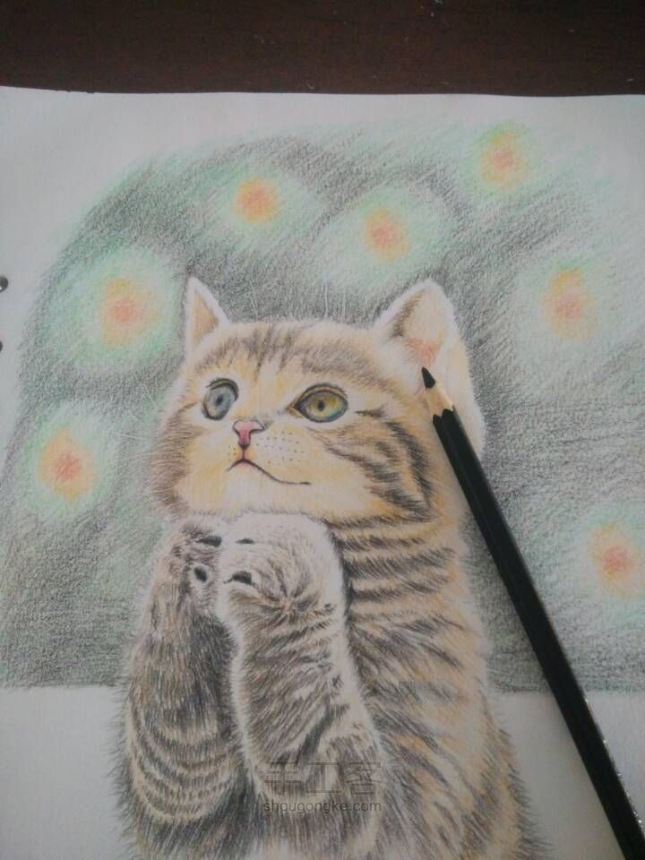 猫咪彩铅手绘 第17步