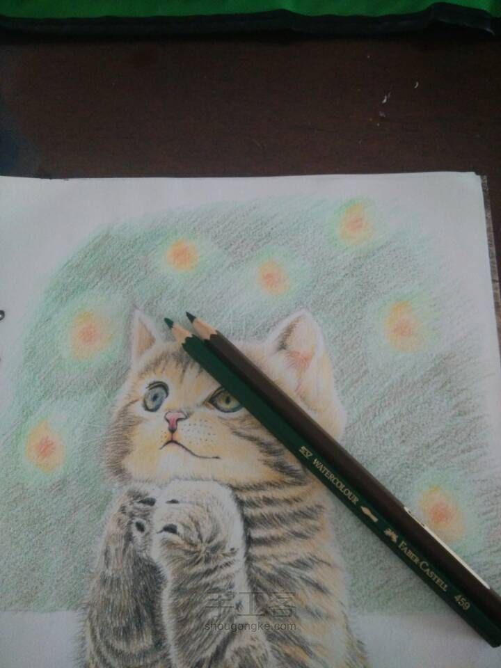猫咪彩铅手绘 第16步