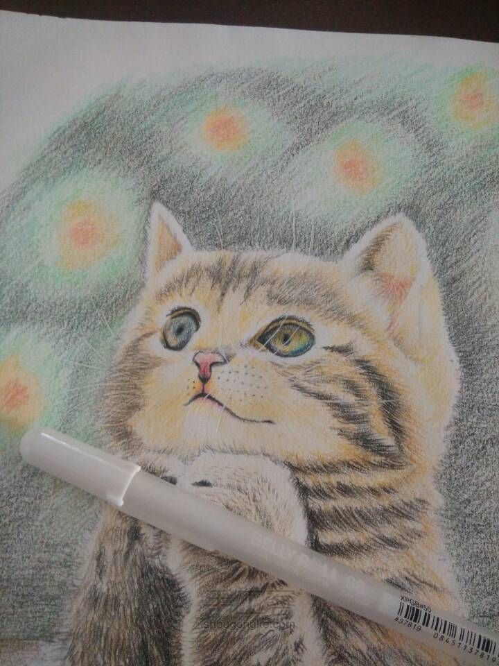 猫咪彩铅手绘 第19步