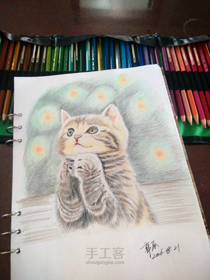 猫咪彩铅手绘 第20步