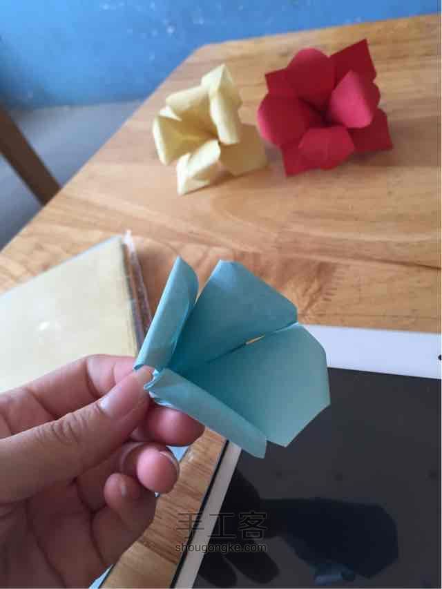 折纸山茶花 第6步