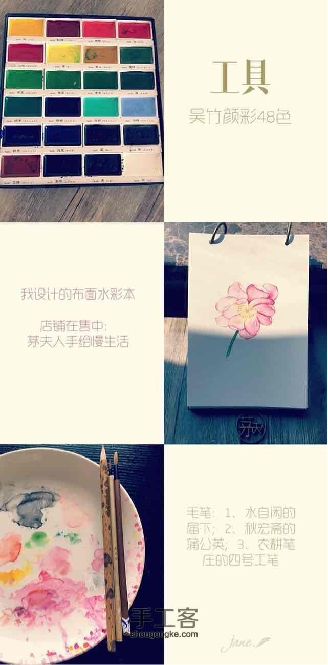 原创超详细水彩花卉教程 第2步
