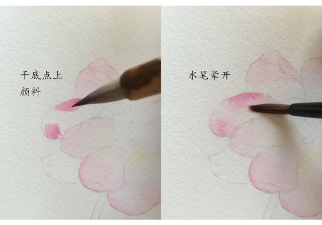 原创超详细水彩花卉教程 第8步