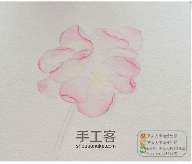 原创超详细水彩花卉教程 第10步