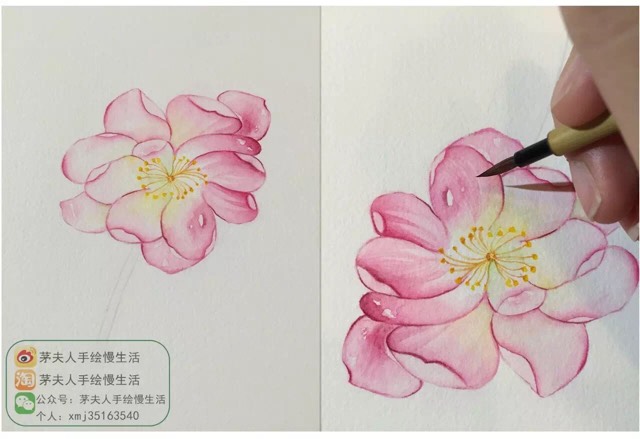 原创超详细水彩花卉教程 第15步