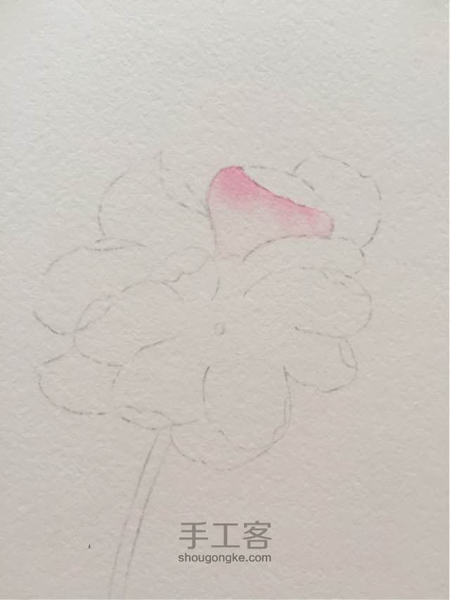 原创超详细水彩花卉教程 第4步