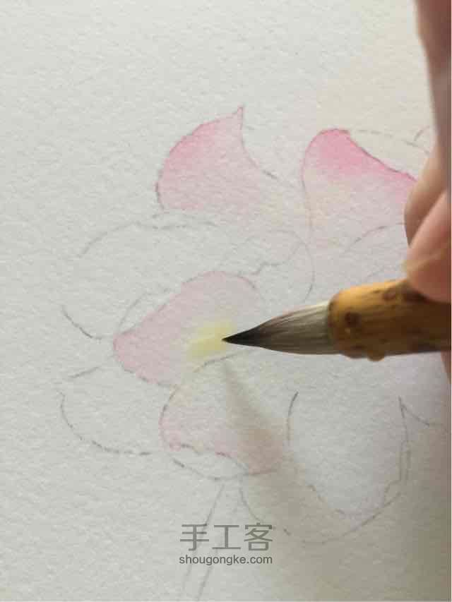 原创超详细水彩花卉教程 第5步