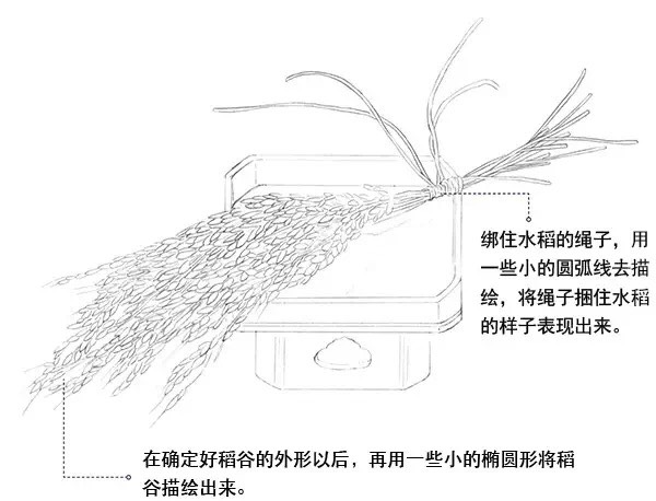  手绘-秋日的收获回忆  转自网络飞乐鸟 第2步