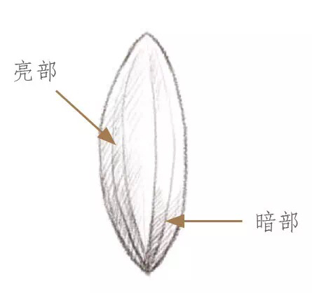  手绘-秋日的收获回忆  转自网络飞乐鸟 第3步