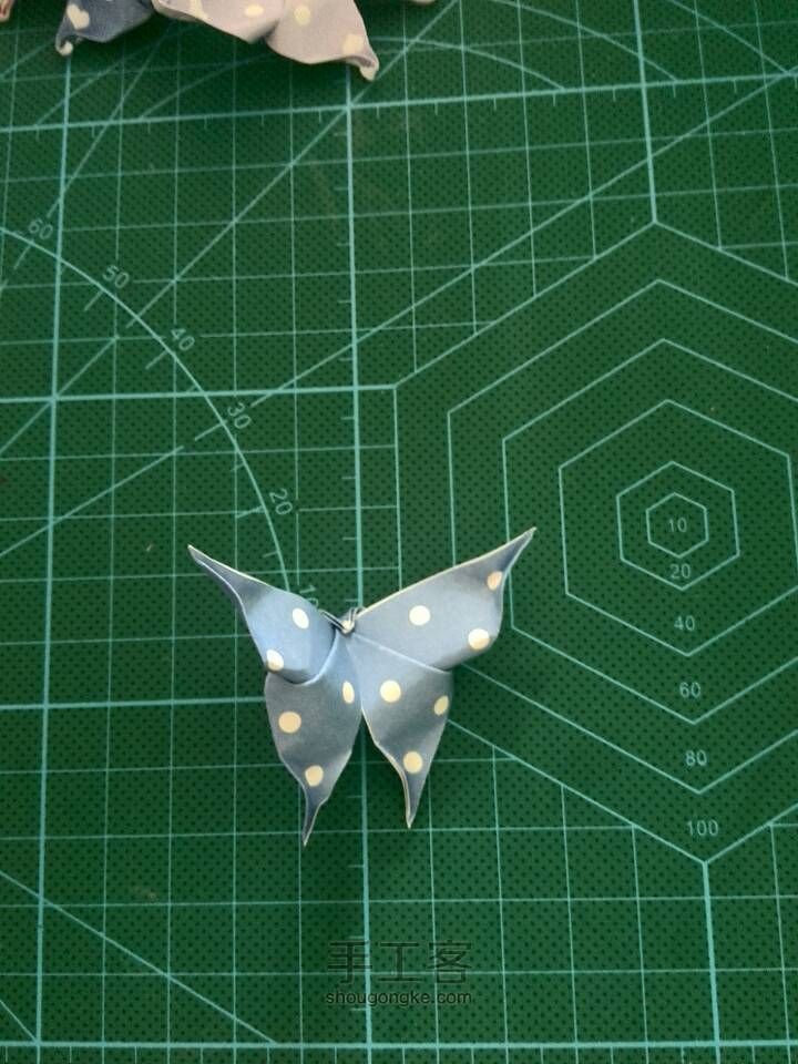 立体蝴蝶折纸 第14步