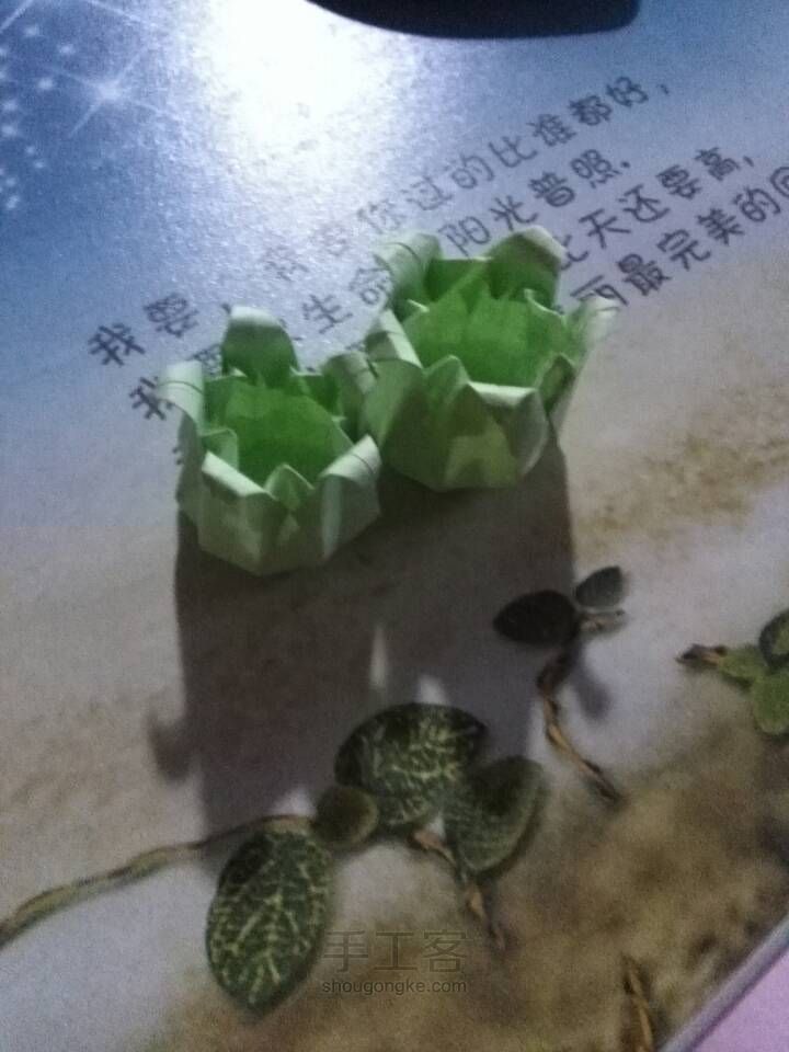 小小风铃草 第22步