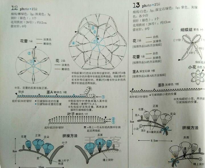 洋水仙 第2步