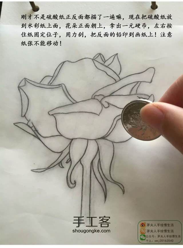 超详细水彩花卉教程 第6步