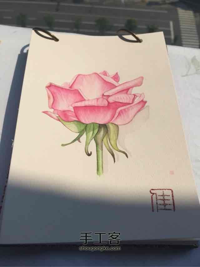 超详细水彩花卉教程 第25步