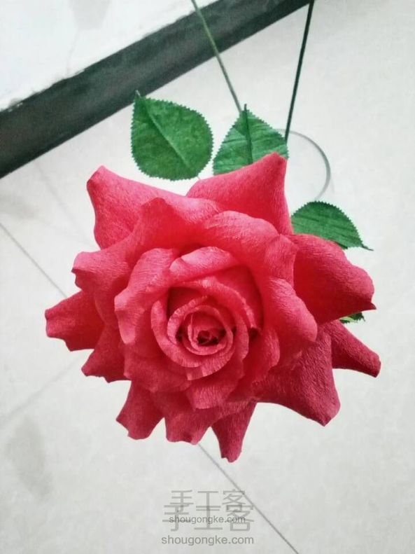 大花月季(做玫瑰瞎做出来的成品)