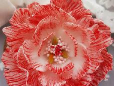 这个牡丹是我的最爱，特别美，又大气。之前分享了牡丹花瓣的制作流程，这篇教程是接在花瓣制作之后的绘制和组装。希望你们喜欢😁
