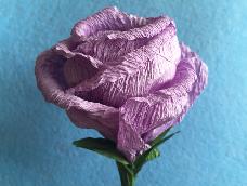 皱纹纸玫瑰花
