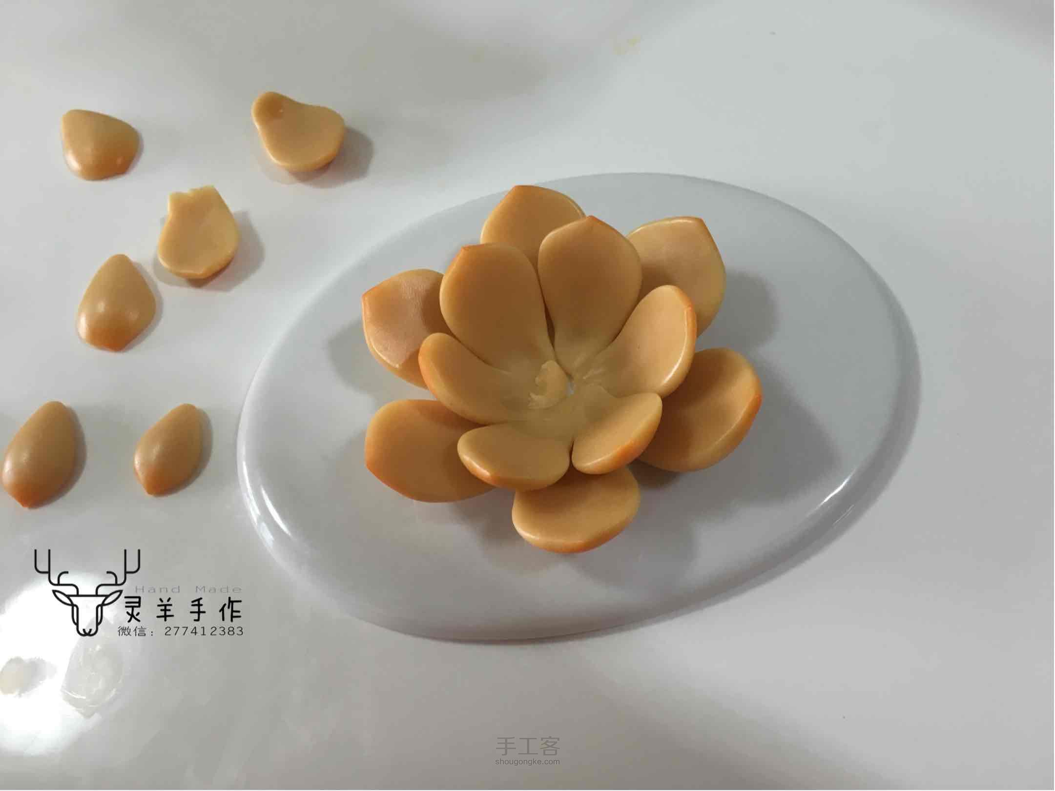 软陶多肉橙梦露 第10步