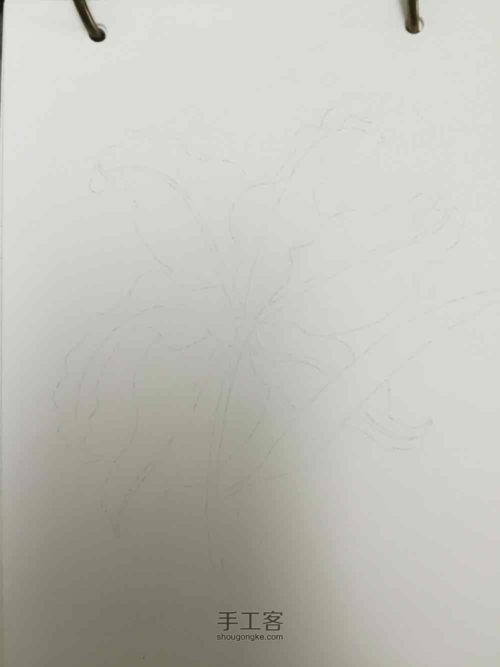 茅夫人原创超详细水彩花卉教程05篇 第12步
