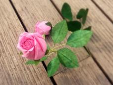 永恒的爱情丨纸藤玫瑰