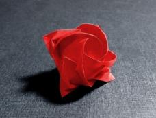 “强迫症”级川崎玫瑰