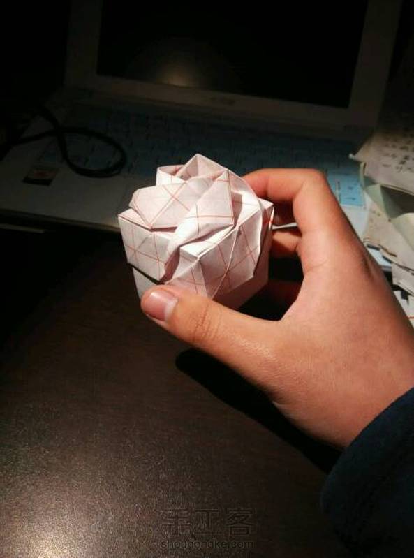 哈哈，成功了！可是没折花心😏 第1张