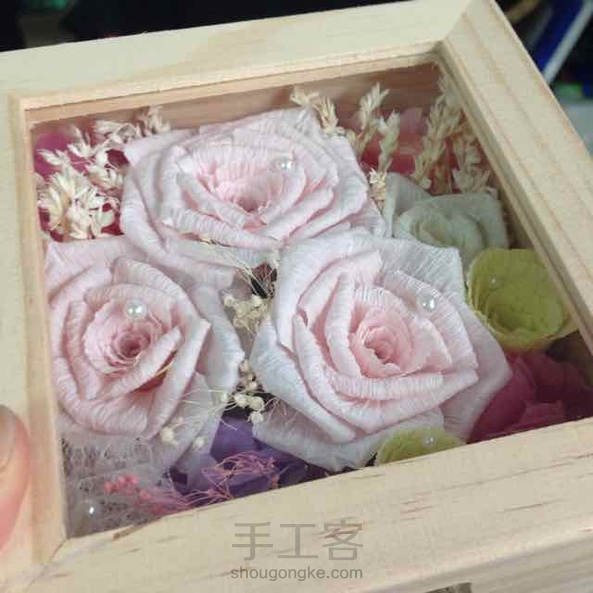 粉色的玫瑰花😍 第1张