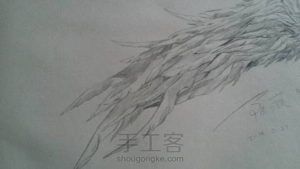 翅膀画法 第2张