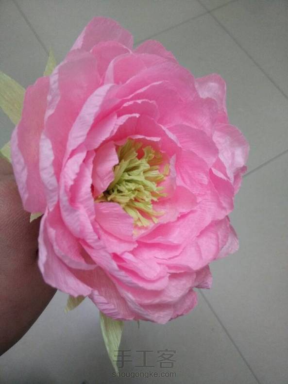 。。。。。。 第1张