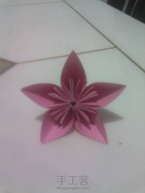 粉色樱花美美哒～罒▽罒