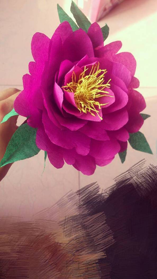 自我感觉还不错 第1张