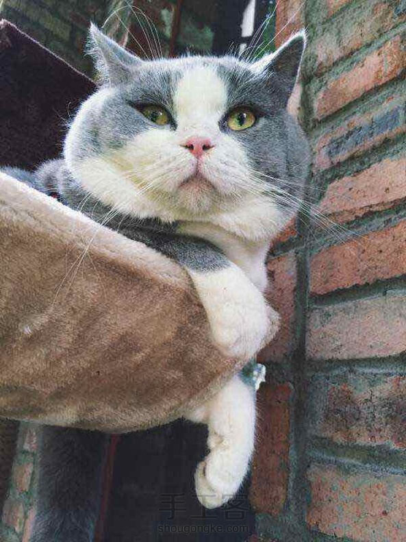 萌哥在手！！！哈哈，林绿手作，教程戳下方～ 第7张