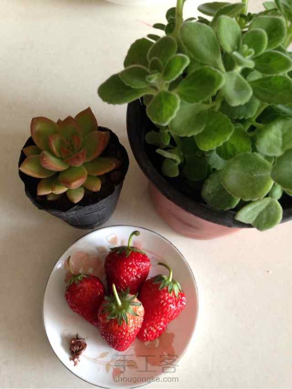 棒棒哒，有教程哦～ 第1张