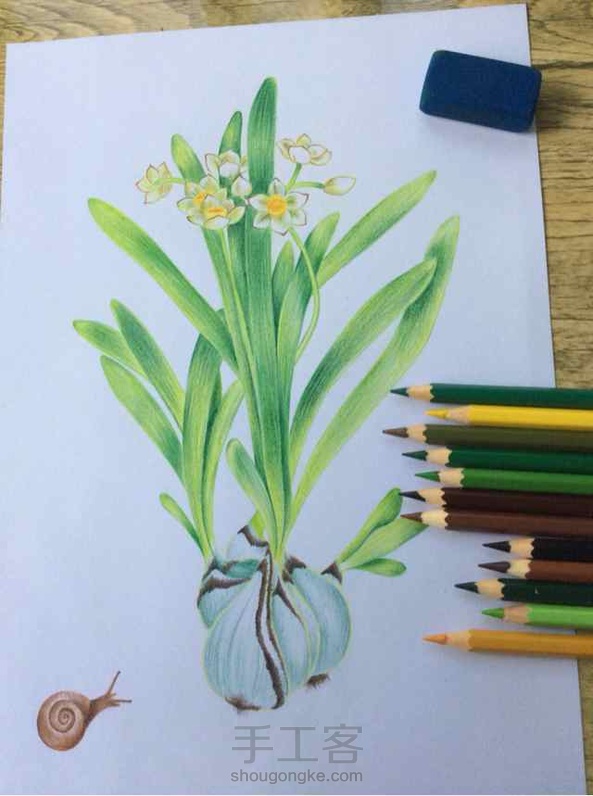 水仙和小🐌