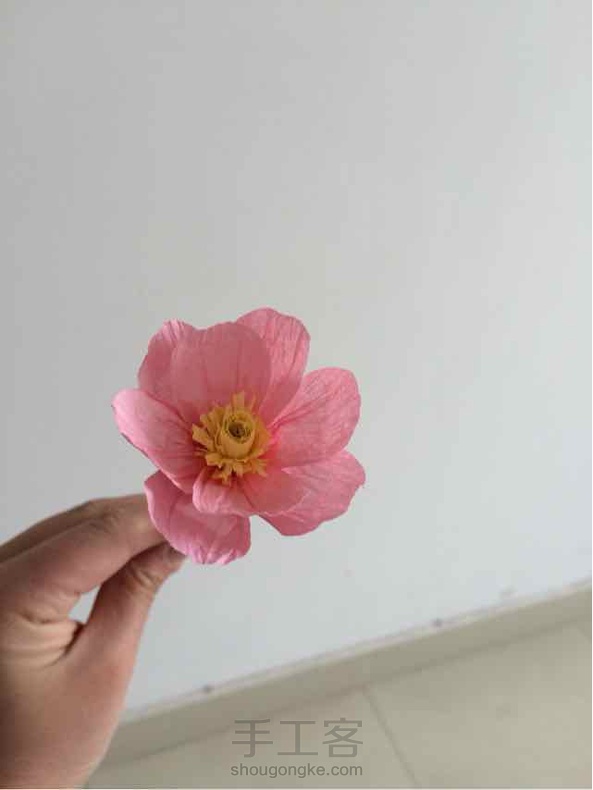 虽然不像格桑花，但第一次做，好喜欢啊。。。。