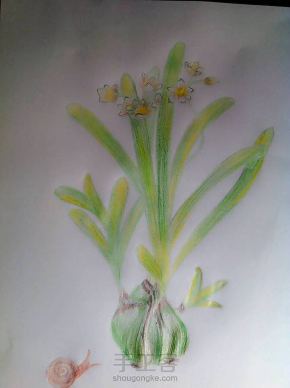 没学过画画，不知道水溶彩铅怎么画，我用的是普通的彩铅