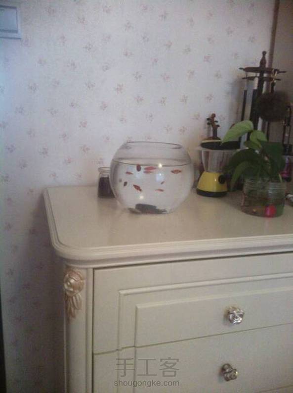 我的鱼就很小 第1张