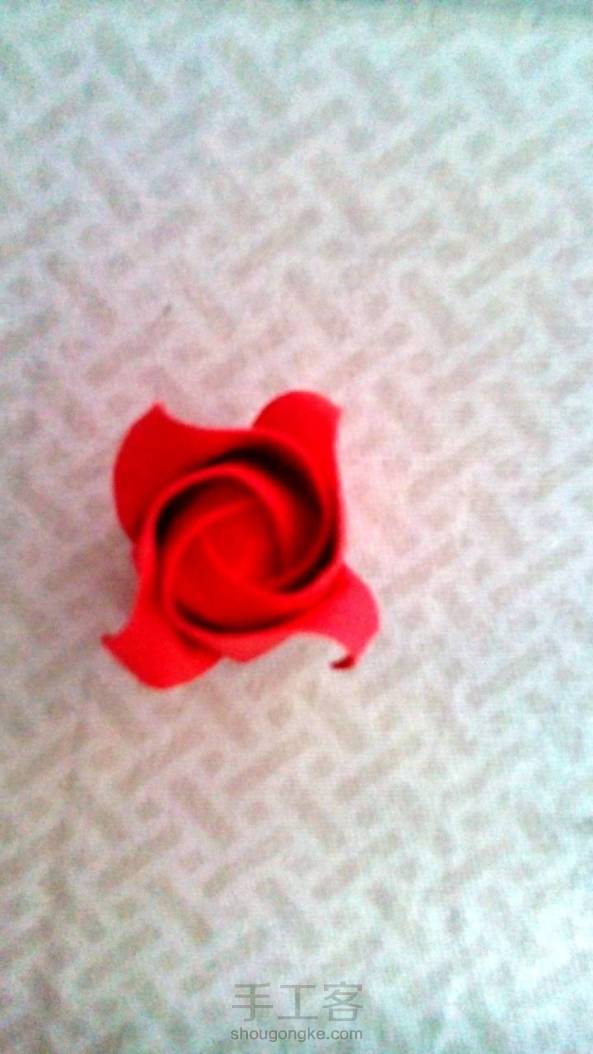 不同的折法，不同的感觉，
很开心又学多了一种玫瑰的折法。 第1张