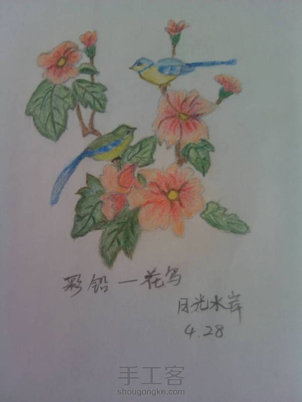 用普通彩铅画的，把蓝色的叶子换成了绿色！