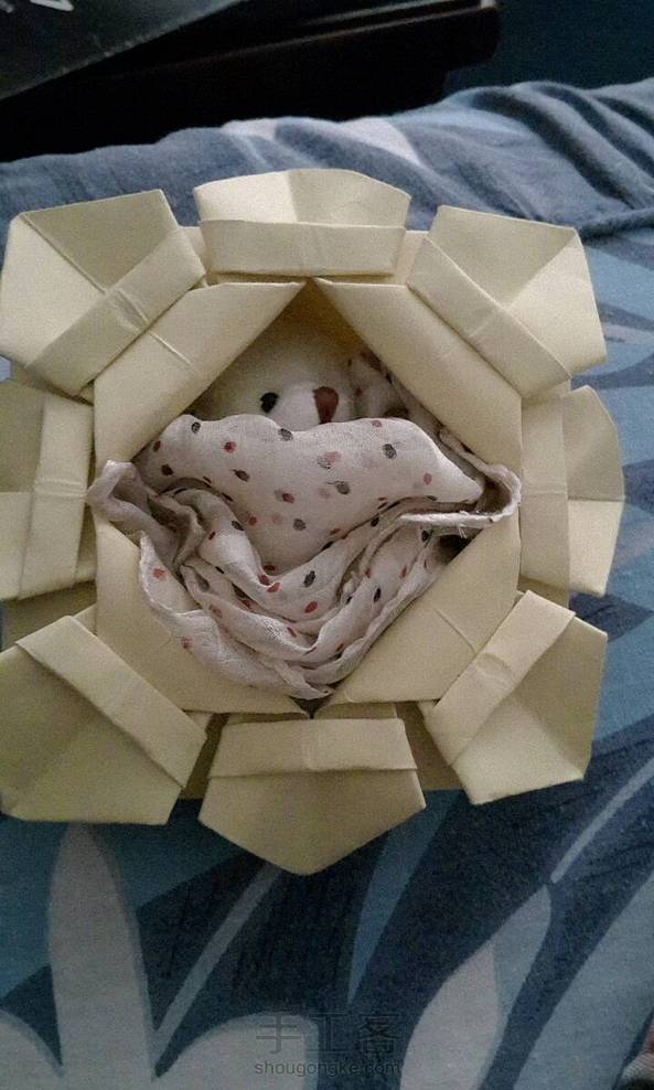 小熊睡在花篮里